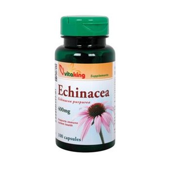 Vitaking Echinacea Kapszula 90db